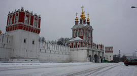 Экскурсия в Новодевичий монастырь