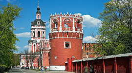 Экскурсия в Донской монастырь