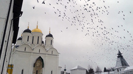 Паломническая поездка в Калужскую область
